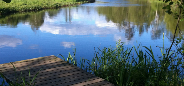 A quiet, secluded dock tucked into the shade of a small pond