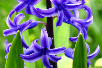 10 Ways Spring Showcases Life as God Intended Header