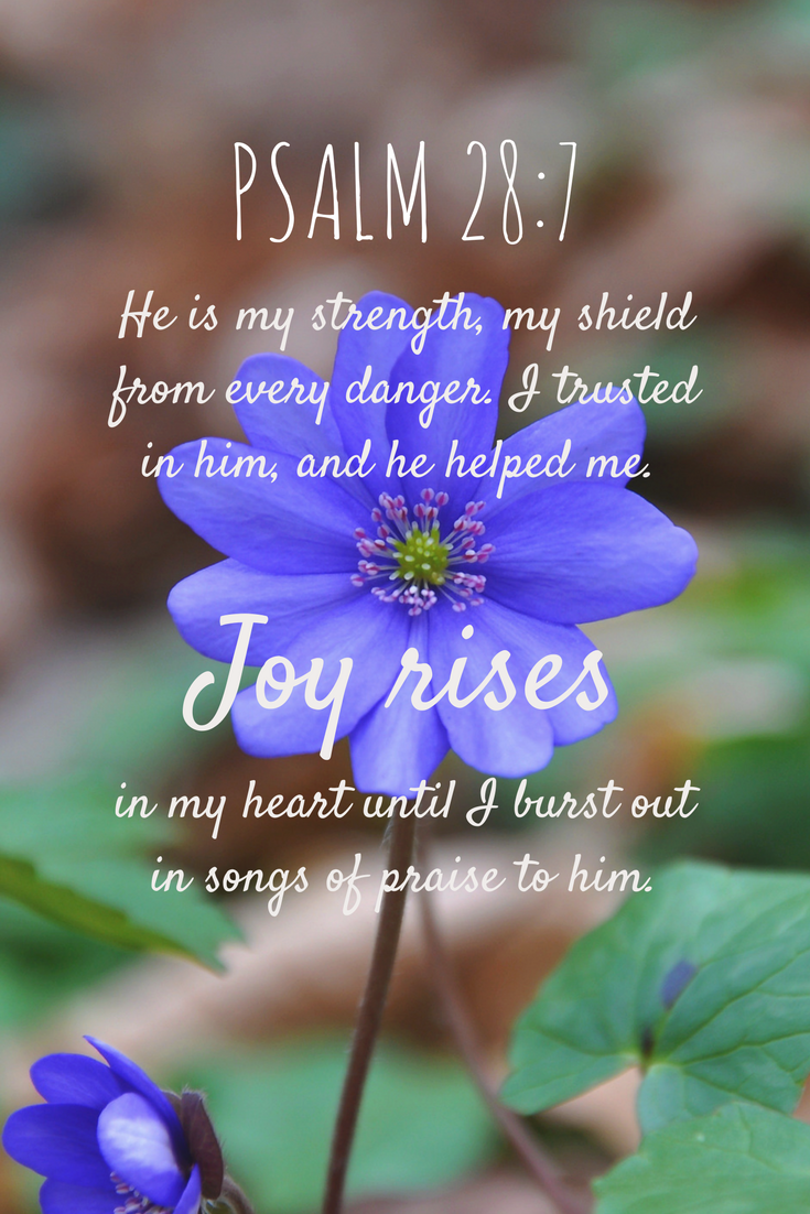 He is my strength, my shield from every danger. I trusted in him, and he helped me. Joy rises in my heart until I burst out in songs of praise to him.