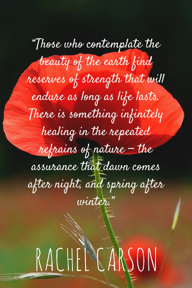 “Those who contemplate the beauty of the earth find reserves of strength that will endure as long as life lasts. There is something infinitely healing in the repeated refrains of nature — the assurance that dawn comes after night, and spring after winter.”