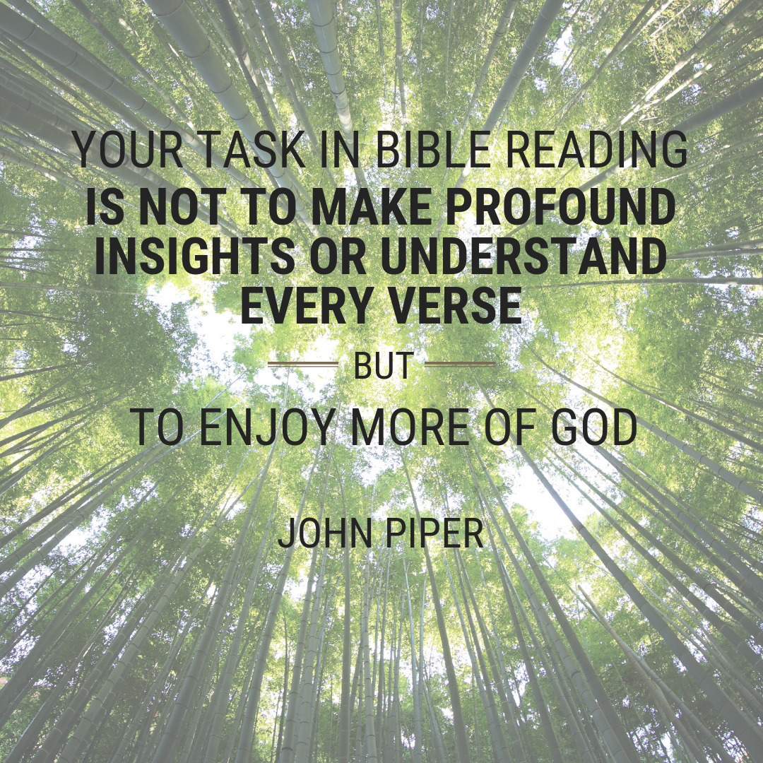 Your task in Bible reading is not to make profound insights or understand every verse, but to enjoy more of God.