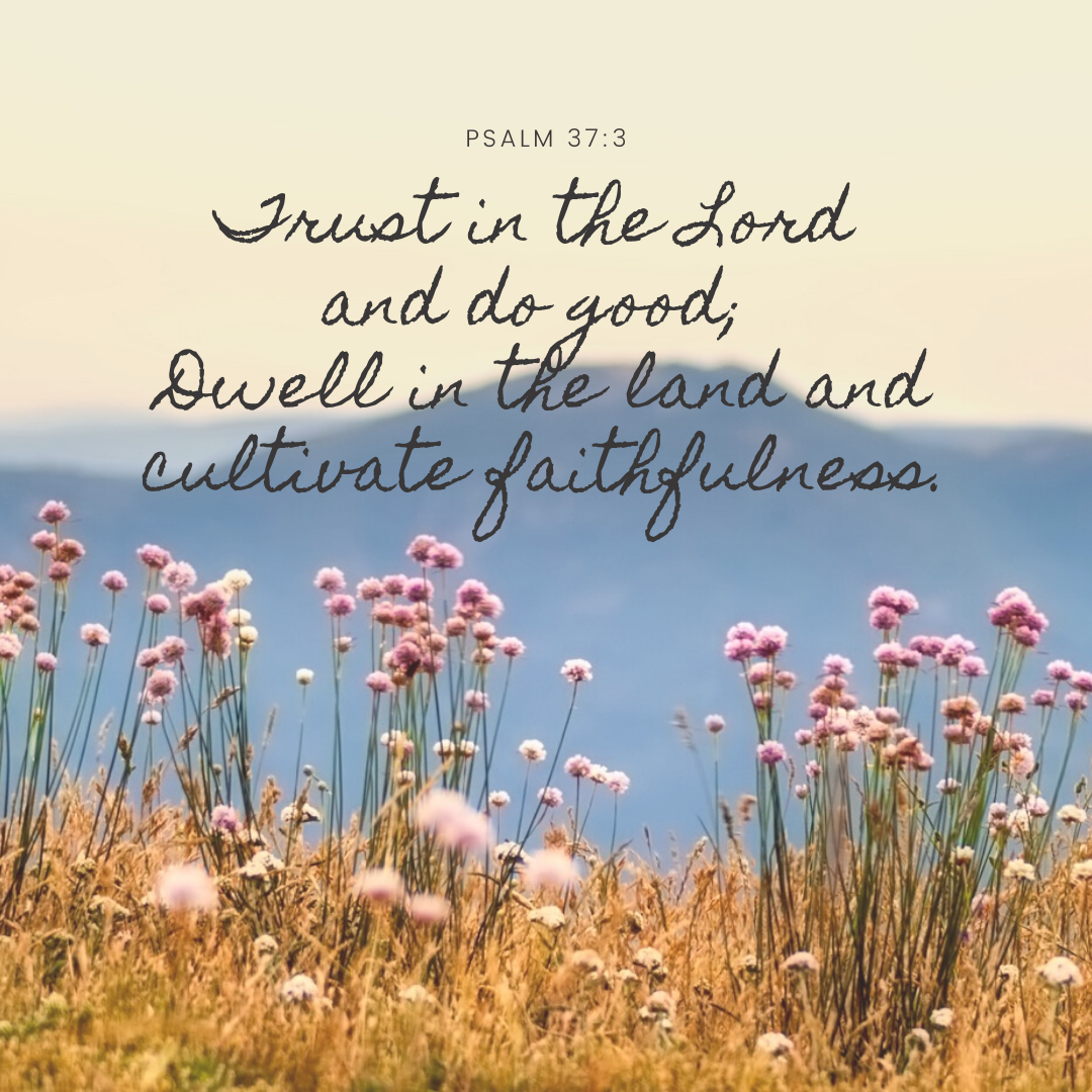 Trust in the Lord and do good; dwell in the land and cultivate faithfulness.