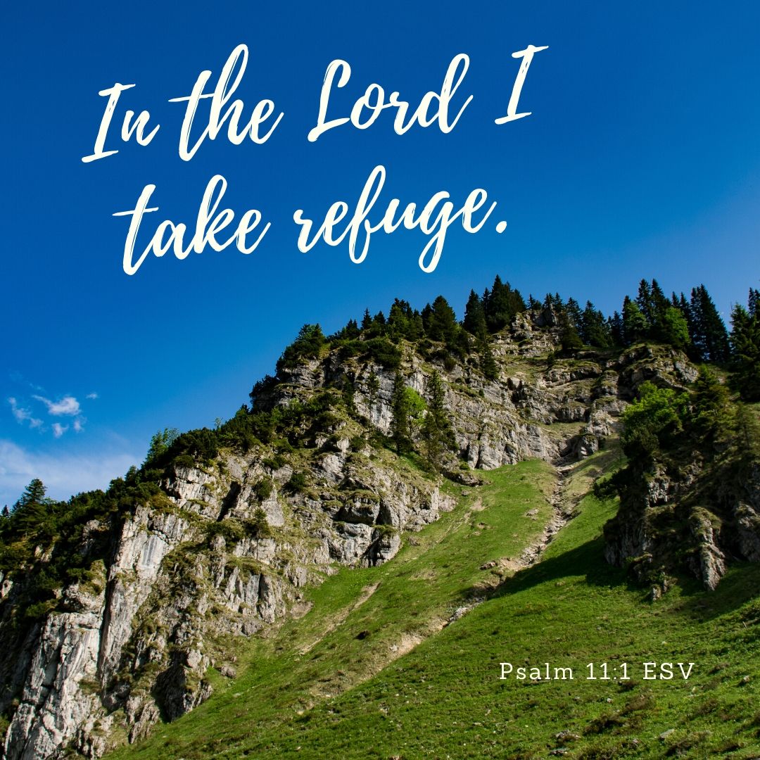 Psalm 11:1 ESV "In the Lord I take refuge."