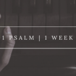 1 Psalm | 1 Week